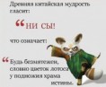 /album/fotogalereya/getimage-3-jpg/